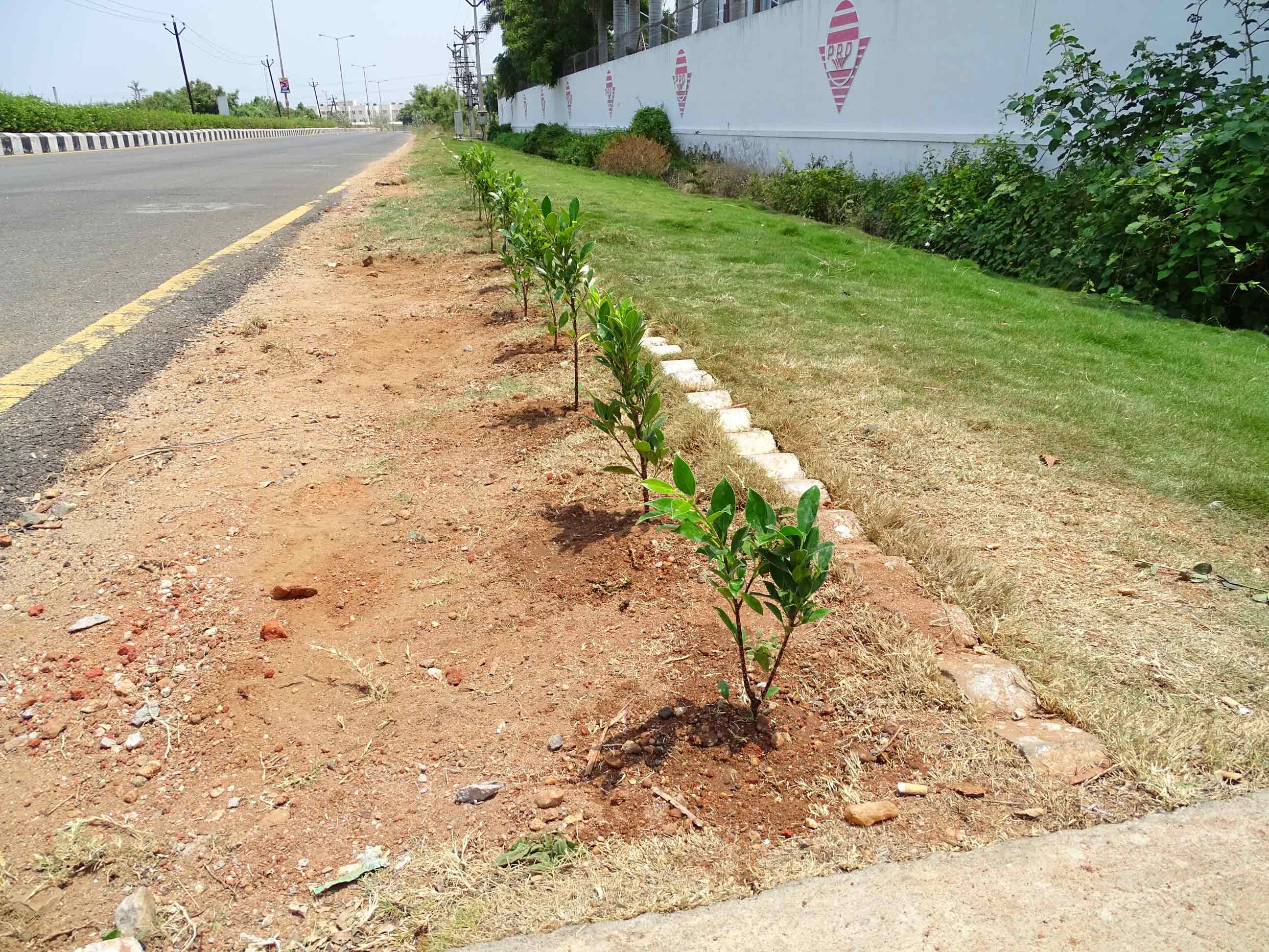 PRD Rigs - CSR activities
